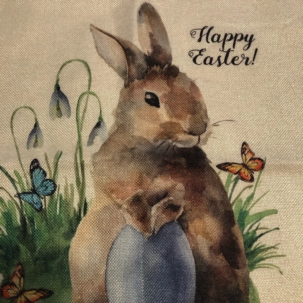 Easter Bunny Pillow Covers Set of 2 Size 17 1/2